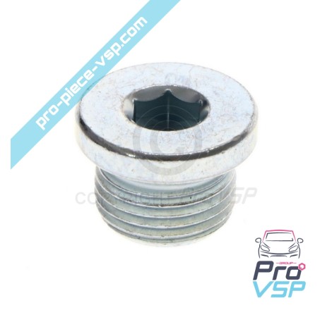 Lombardini drenagem plug dci