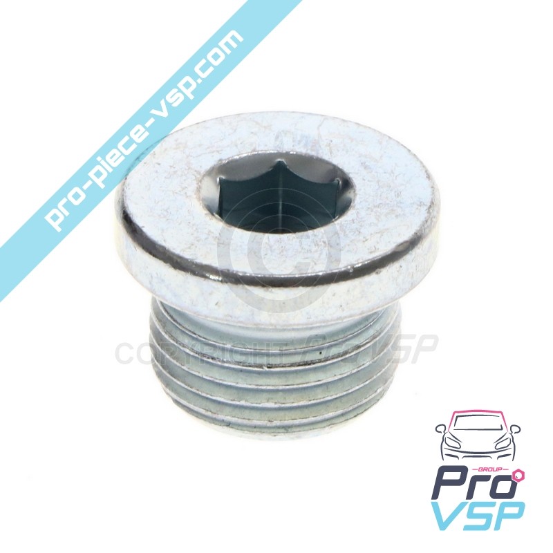 Lombardini drenagem plug dci