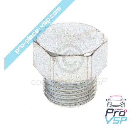 Lombardini drenagem plug focs