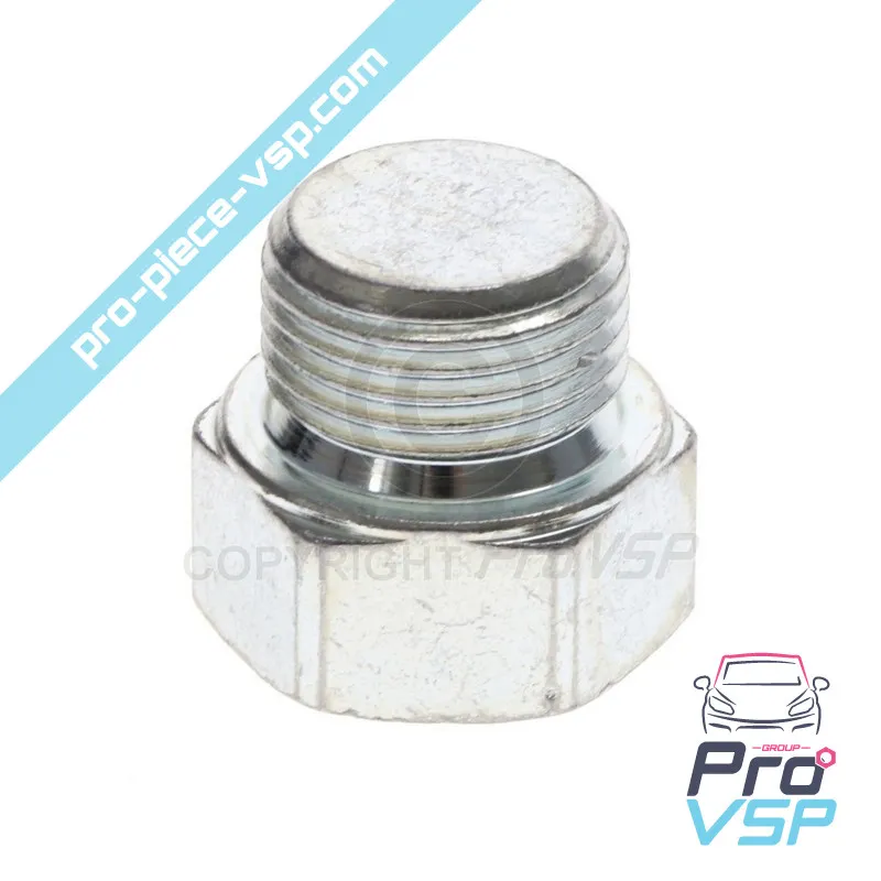 Lombardini drain plug focs