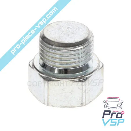 Lombardini drenagem plug focs