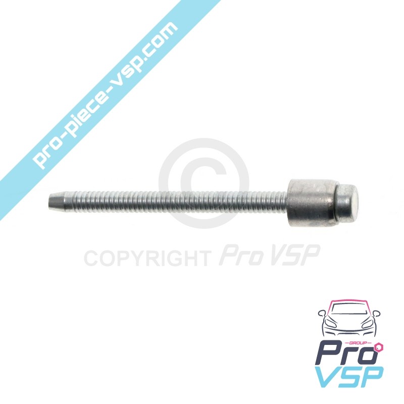 Cylinder head cap