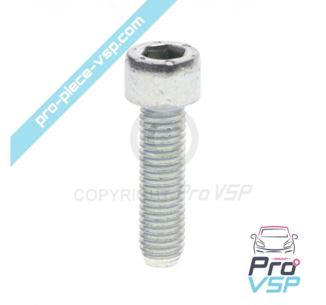 Engine shutter screw