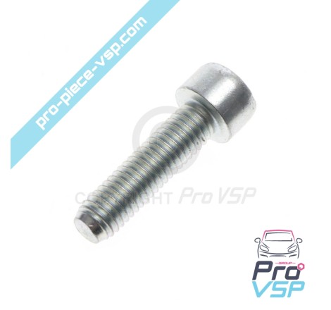 Engine shutter screw