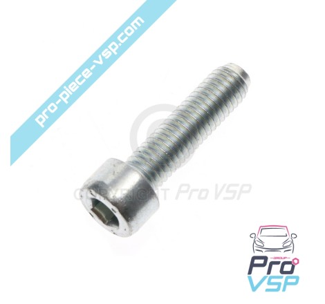 Engine shutter screw