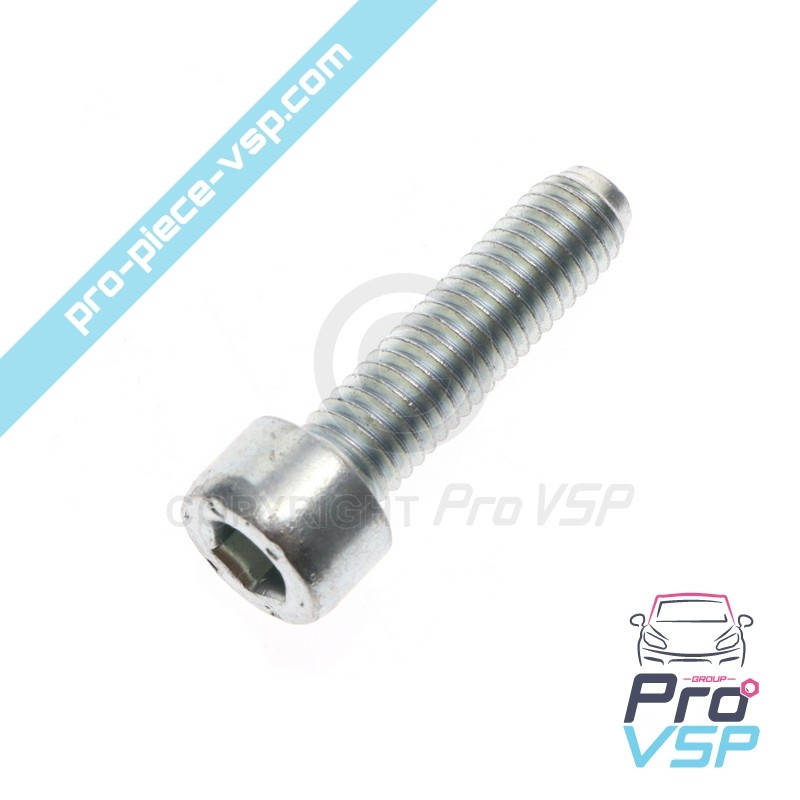 Engine shutter screw