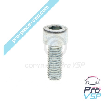 Thermostat cover screw