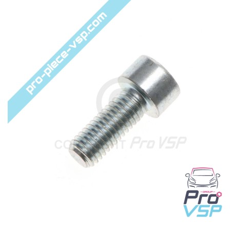 Thermostat cover screw