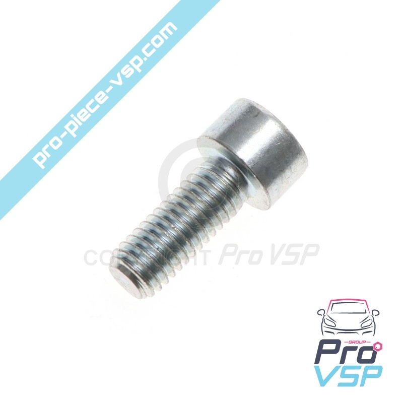 Thermostat cover screw