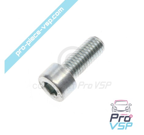 Thermostat cover screw