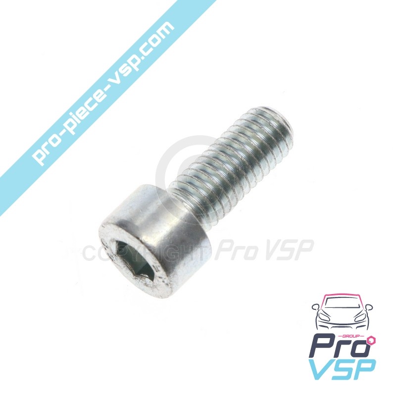 Thermostat cover screw