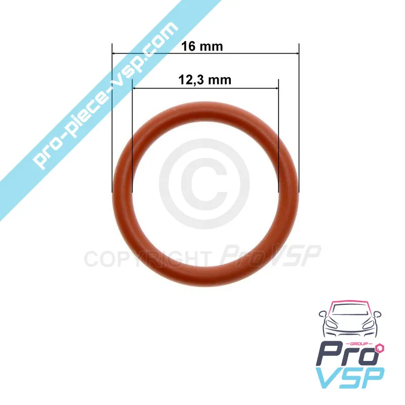 Engine oil strainer O-ring Lombardini Focs Progress