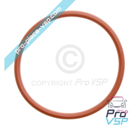 Gasoil Pump O-ring