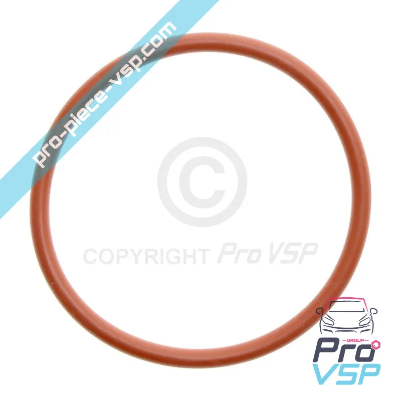 Pompa gasolio O-ring
