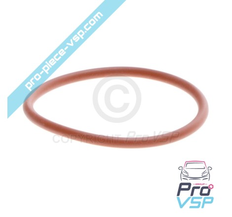 Gasoil Pump O-ring