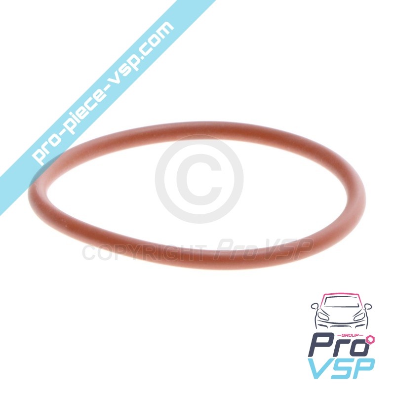 Gasoil Pump O-ring