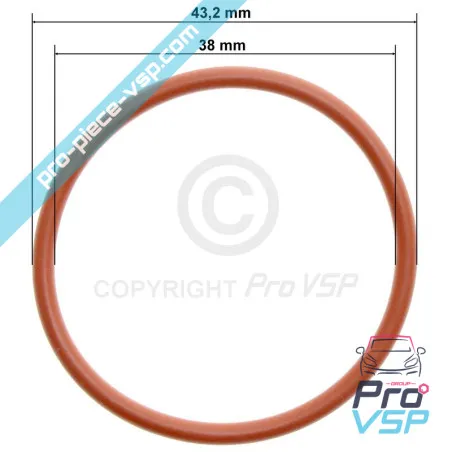 Lombardini Gasölpumpe O-Ring focs