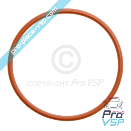 O-ring del termostato Lombardini focs e progress