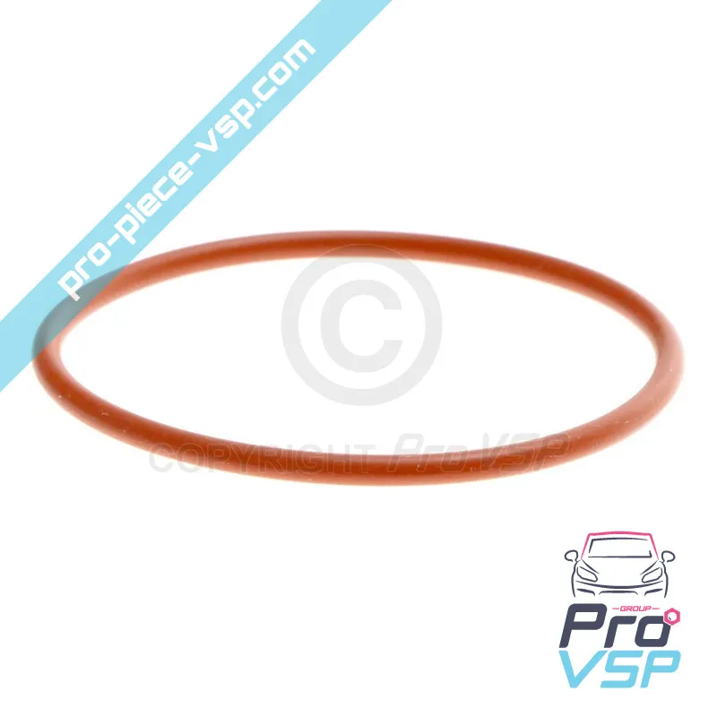 TERMOSTAT O-RING