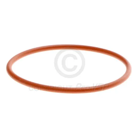 Termostaatti O-Ring Lombardini focs ja progress
