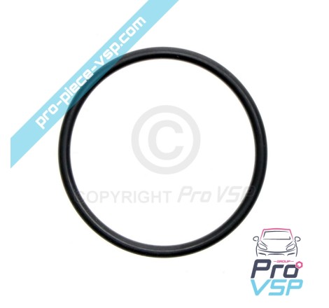 Pump Injector O-ring