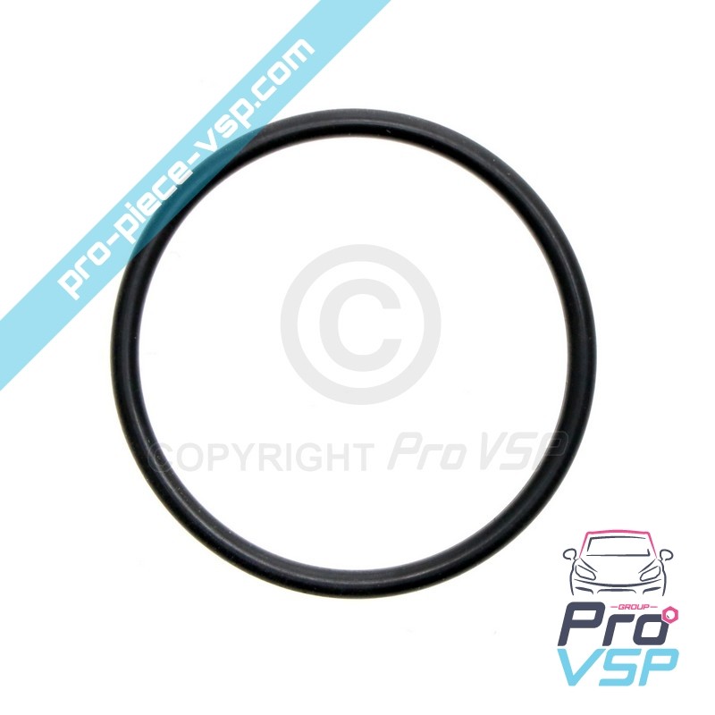 Pump Injector O-ring