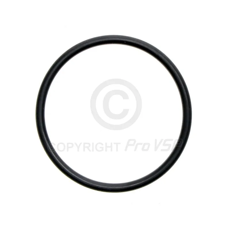Lombardini Injection Pump O-Ring focs ja progress