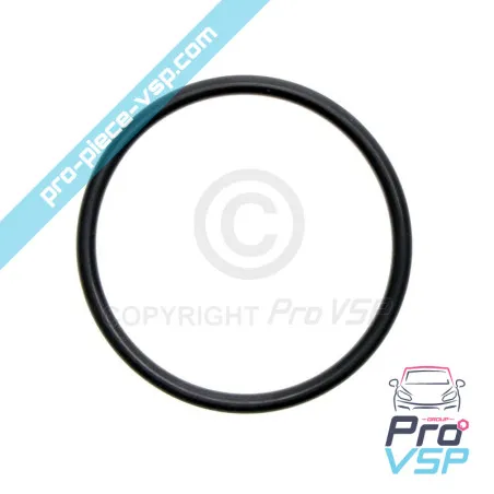 Lombardini Injection Pump O-ring focs and progress