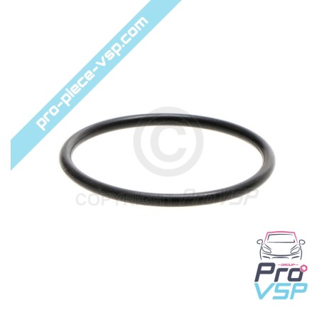 Pump Injector O-ring