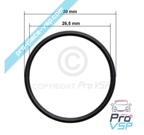 O-ring iniettore della pompa