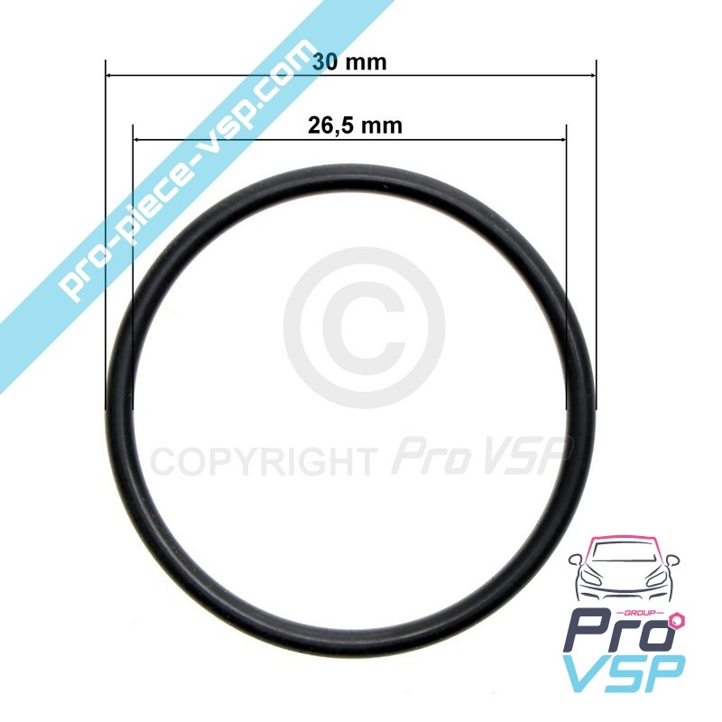 Pump Injector O-ring
