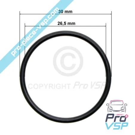 Lombardini Injection Pump O-ring focs and progress
