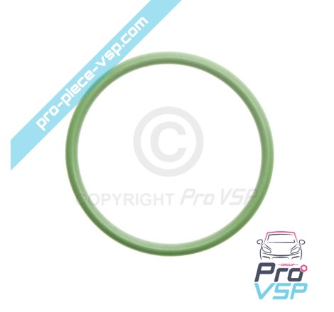 O-ring Injector Nut