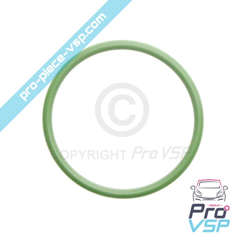 O-ring Injector Nut