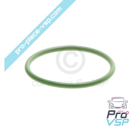 O-ring Injector Nut