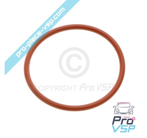Gasoline Pump O-ring