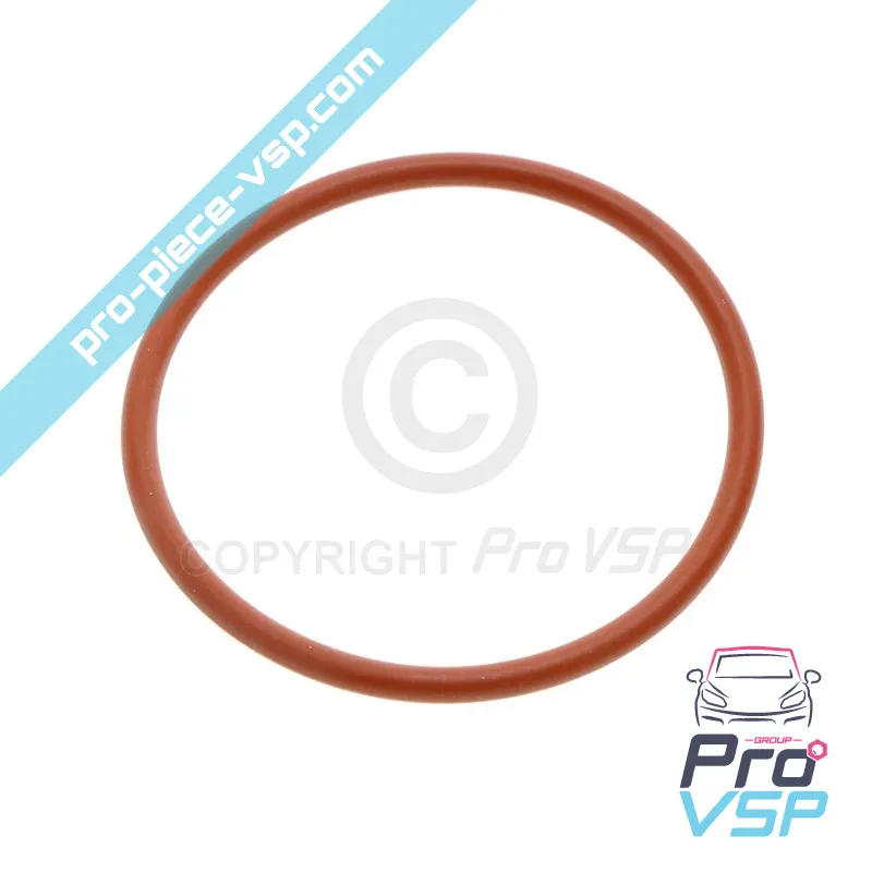 Motor-Benzinpumpe-O-Ring Lombardini Lgw523