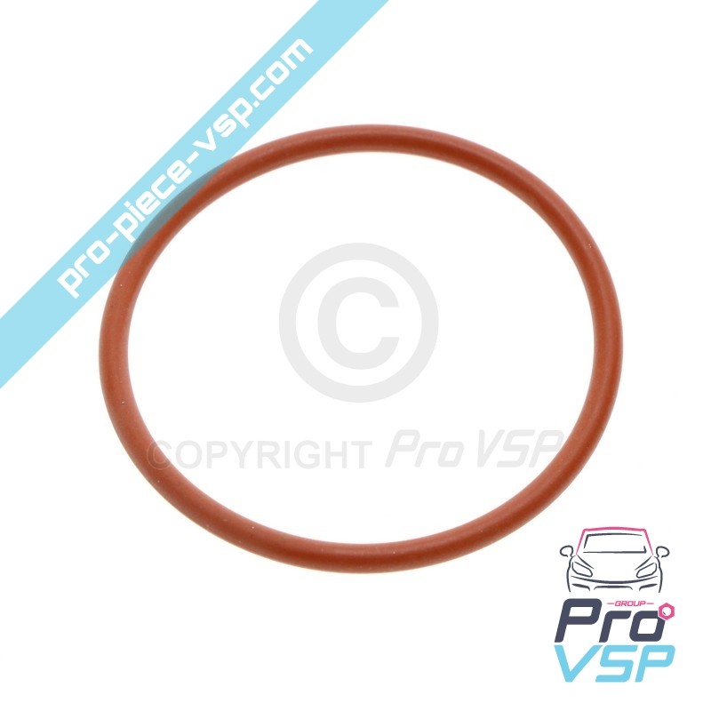 Gasoline Pump O-ring