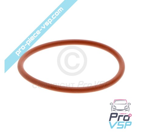 Pompa a benzina O-ring