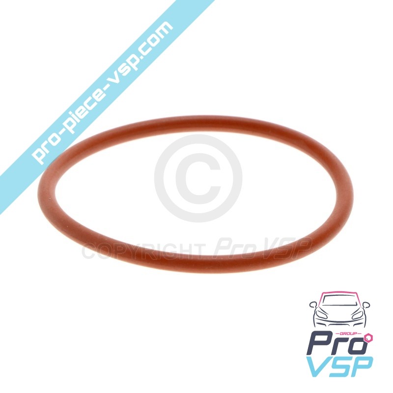 Gasoline Pump O-ring