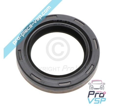 Lombardini Rocker Ramp Channel SPI-Dichtung focs und progress