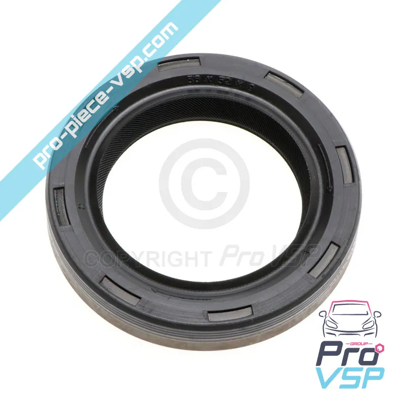 Lombardini Rocker Ramp Channel SPI-Dichtung focs und progress