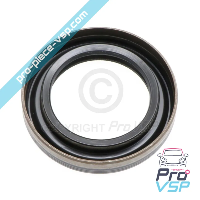 Guarnizione SPI del canale di rampa del rocker lombardini focs e progress