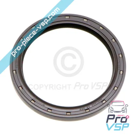 Guarnizione del serbatoio posteriore del motore Lombardini posteriore focs e progress