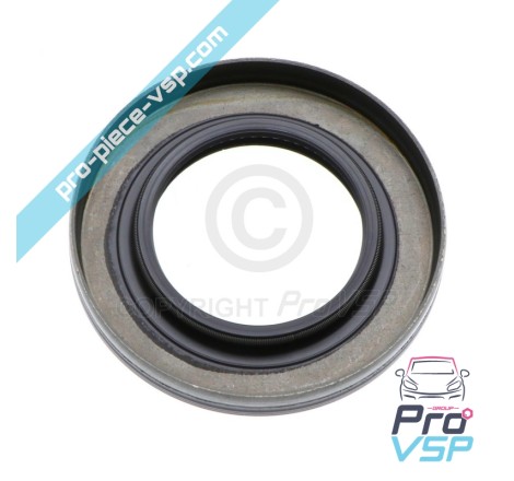 Pinion lid spinnaker seal