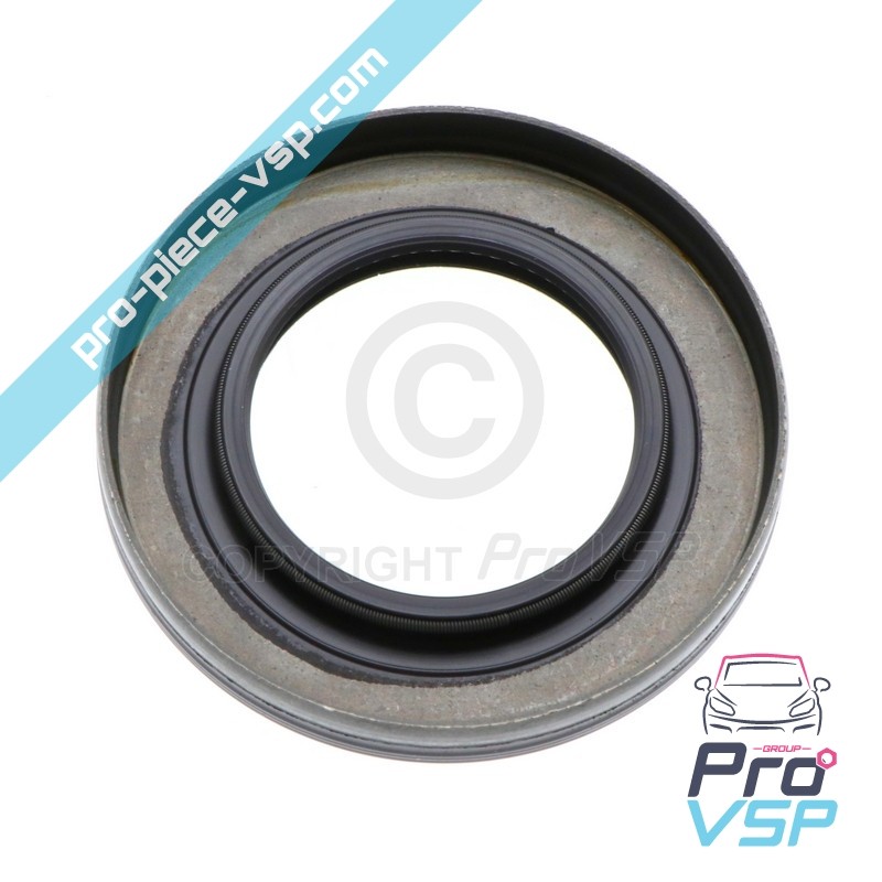Pinion lid spinnaker seal
