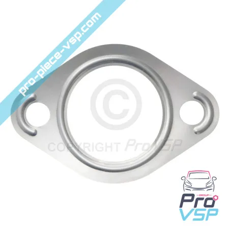 Lombardini exhaust seal dci