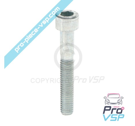 Vilebrequin pulley fixation screw