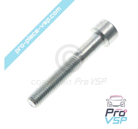 Vilebrequin pulley fixation screw