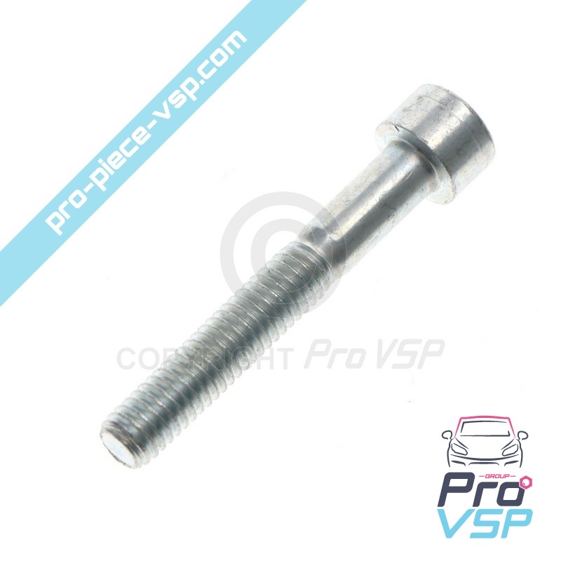 Vilebrequin pulley fixation screw